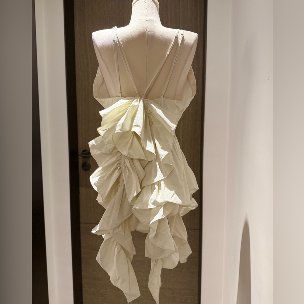 Aknvas Pearl Ruffle Top - Picture 6 of 14